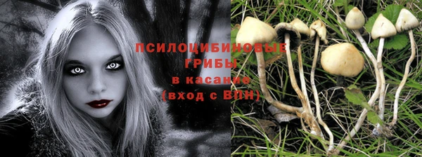 стафф Алексеевка