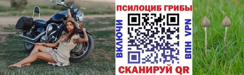 Галлюциногенные грибы Psilocybine cubensis  хочу наркоту  Обнинск 