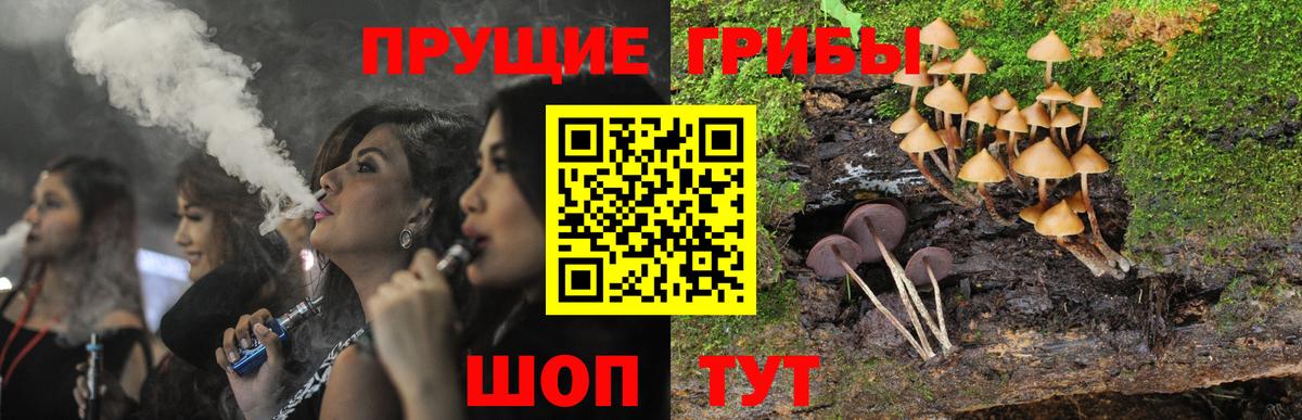 Обнинск  Псилоцибиновые грибы Magic Shrooms  Галлюциногенные грибы Psilocybe  Вход с VPN 